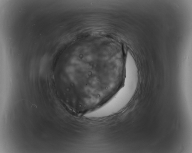 X0000085280913200703301912