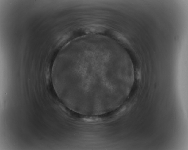 X0000085280915200703301912