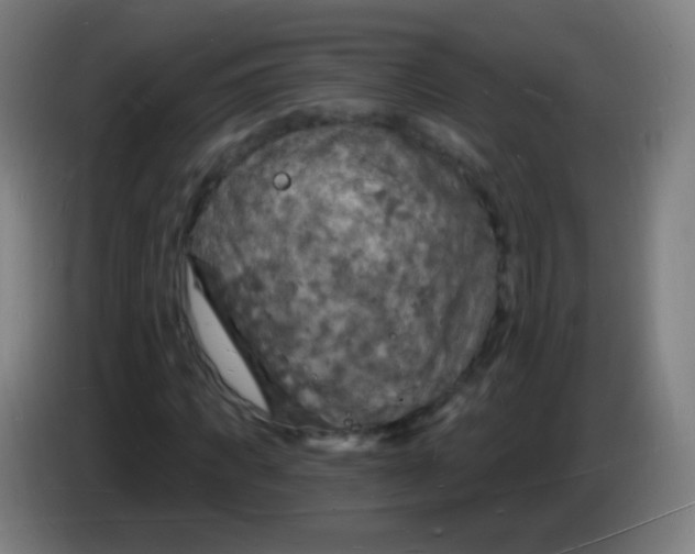 X0000085280917200703301912