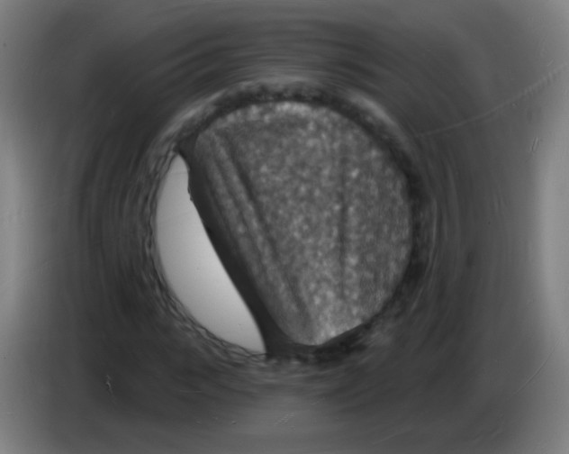X0000085280919200703301912