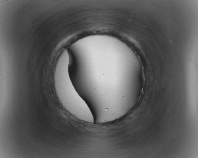 X0000085280920200703301912