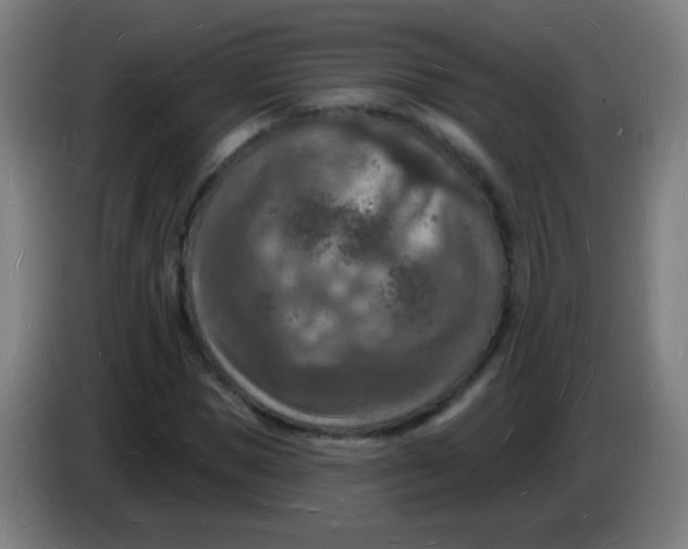 X0000085280921200703301912