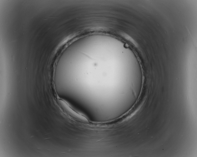 X0000085280922200703301912