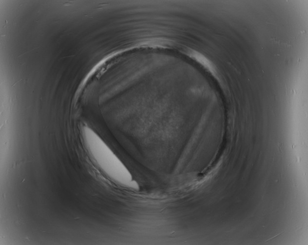 X0000085280923200703301912