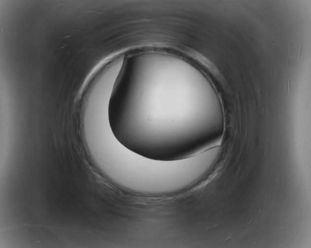 X0000085280926200703301912