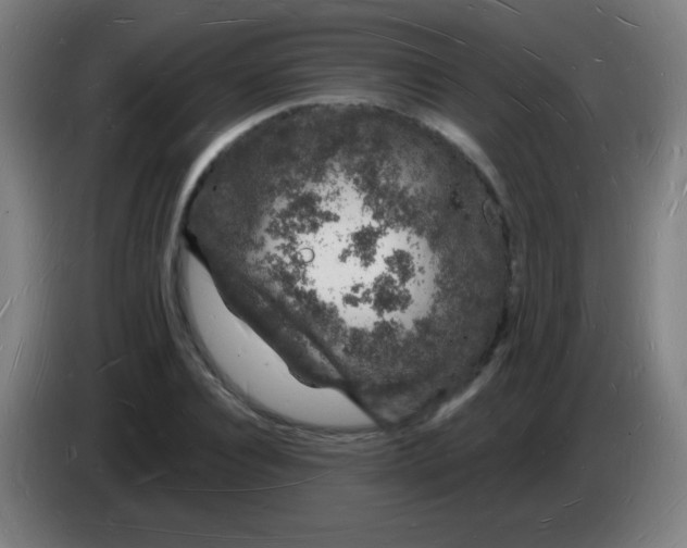 X0000085280928200703301912