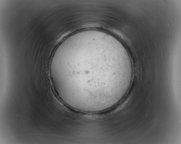 X0000085280929200703301912
