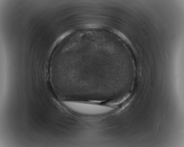 X0000085280930200703301912