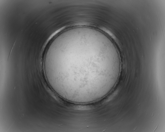X0000085280933200703301913