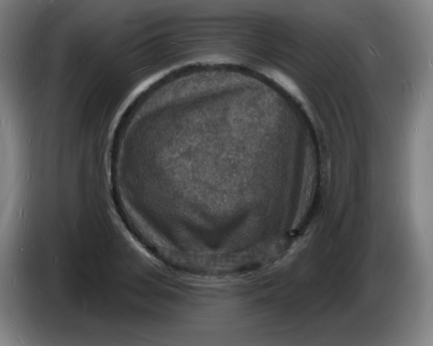 X0000085280935200703301913