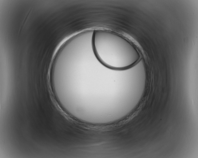 X0000085280936200703301913