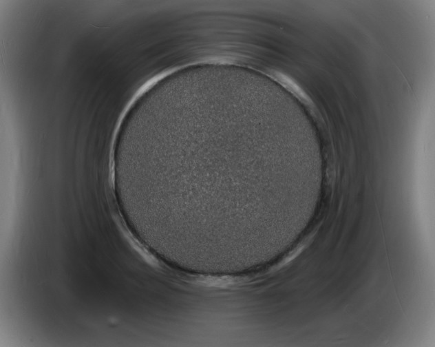 X0000085280940200703301913