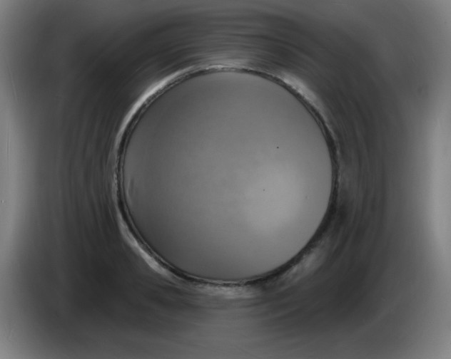 X0000085280941200703301913