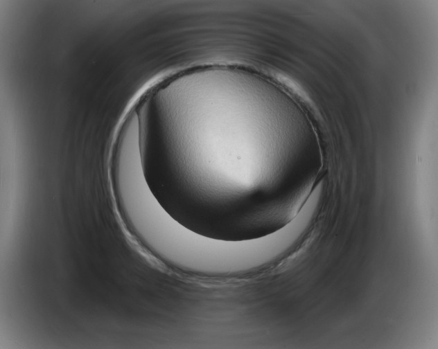 X0000085280942200703301913