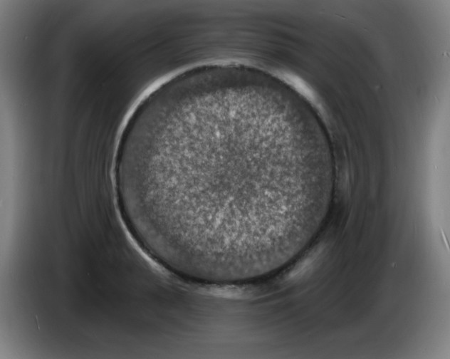 X0000085280943200703301913