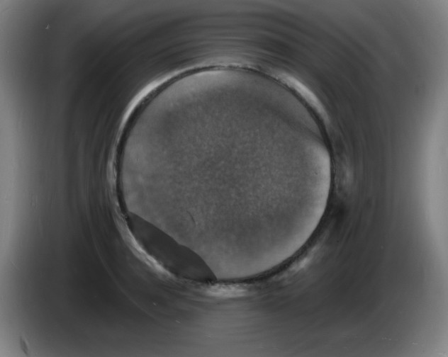 X0000085280944200703301913