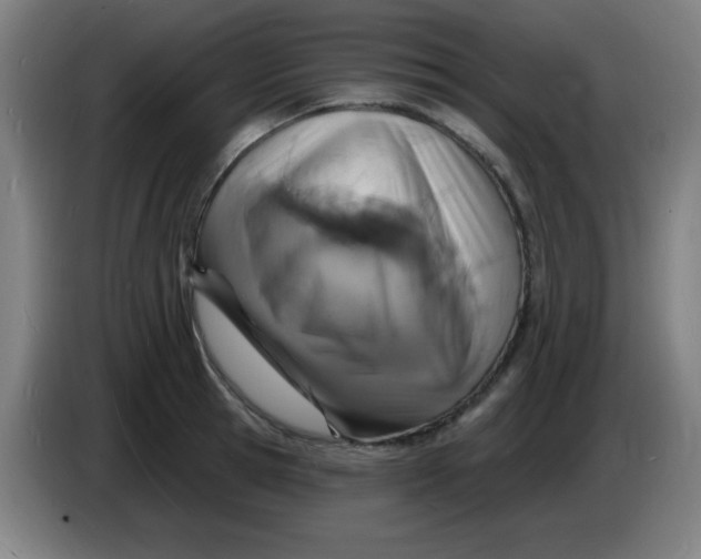 X0000085280945200703301913