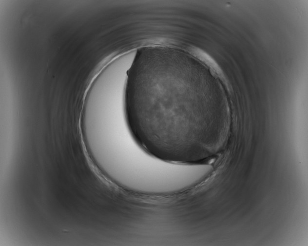 X0000085280946200703301913