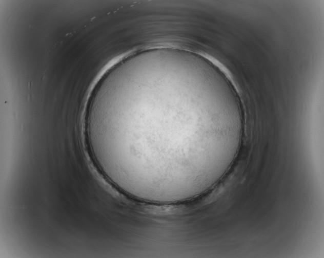 X0000085280949200703301913