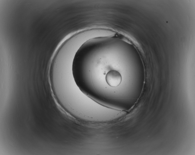 X0000085280950200703301913