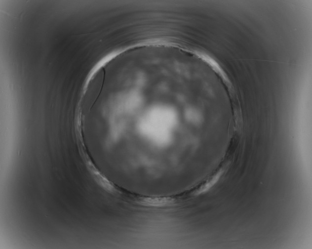 X0000085280952200703301913