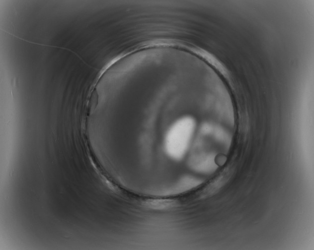 X0000085280953200703301913