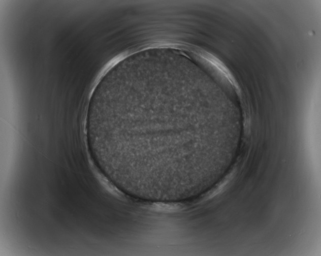 X0000085280954200703301913
