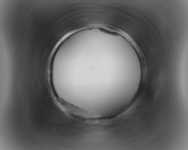 X0000085280955200703301913
