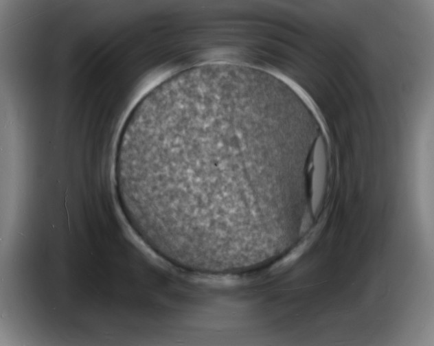 X0000085280957200703301913