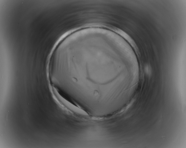 X0000085280958200703301913