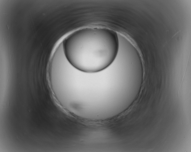 X0000085280960200703301913