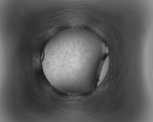 X0000085280963200703301912