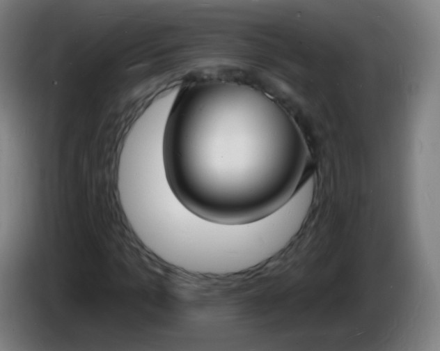 X0000085280965200703301912