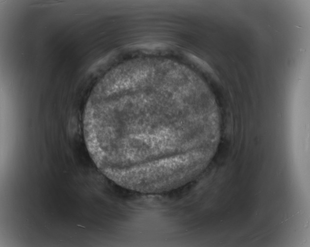 X0000085280966200703301912