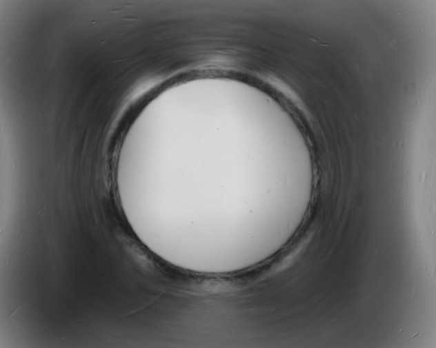 X0000085280974200703301912