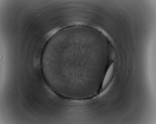 X0000085280977200703301912