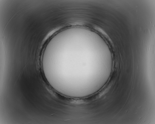 X0000085280978200703301912