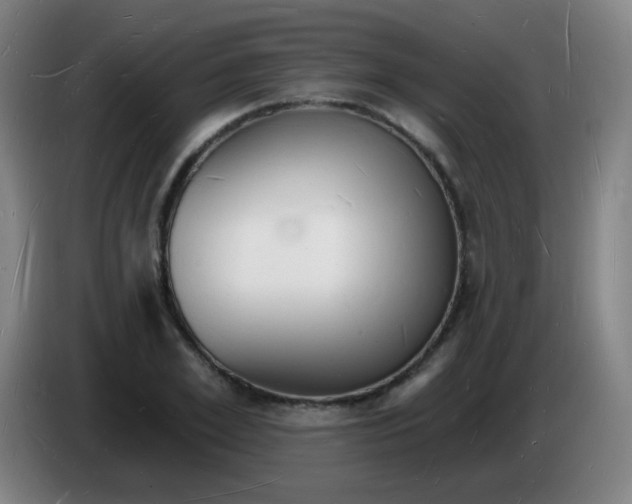 X0000085280981200703301912