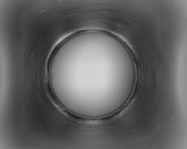 X0000085280982200703301912