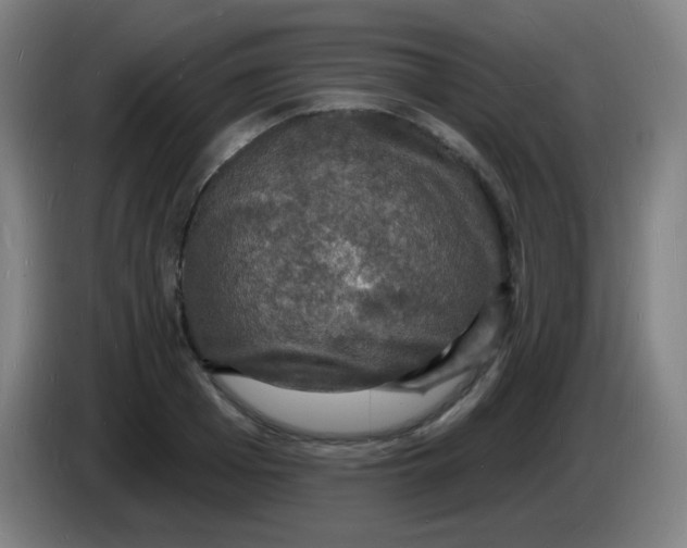 X0000085280985200703301912