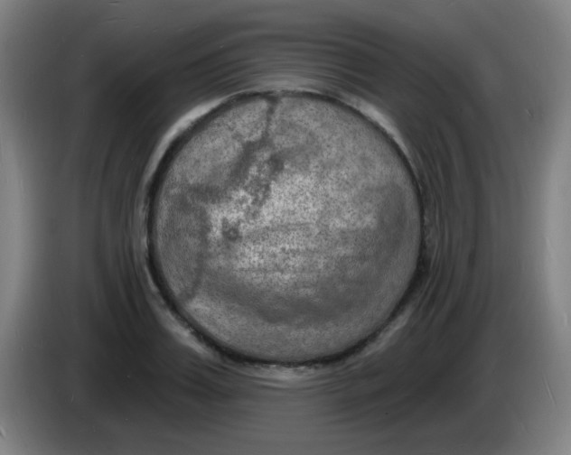 X0000085280987200703301912