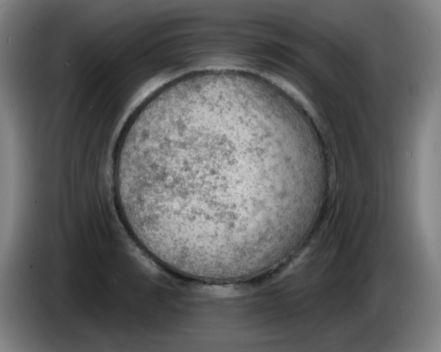 X0000085280990200703301912