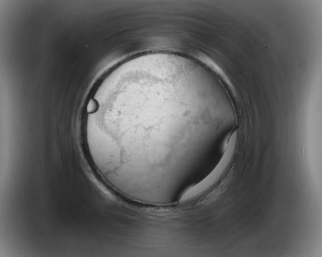 X0000085280991200703301912
