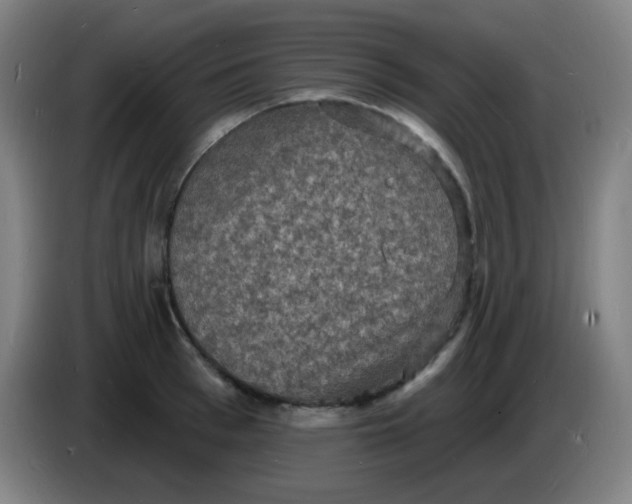 X0000085280993200703301912