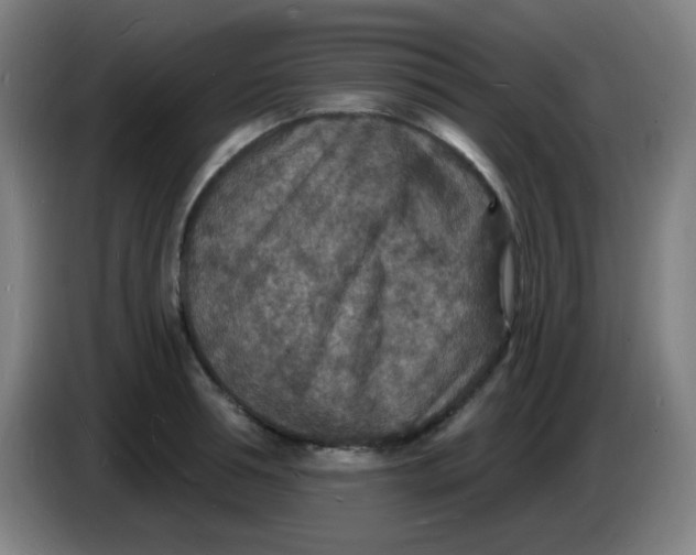 X0000085280994200703301912