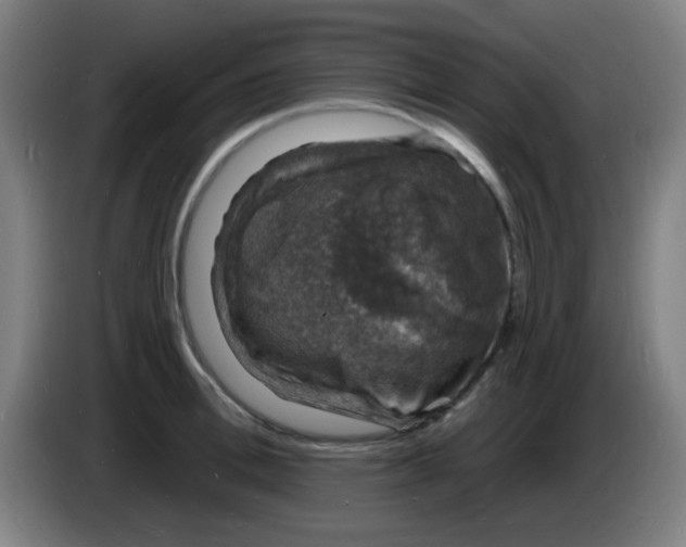 X0000085280996200703301912