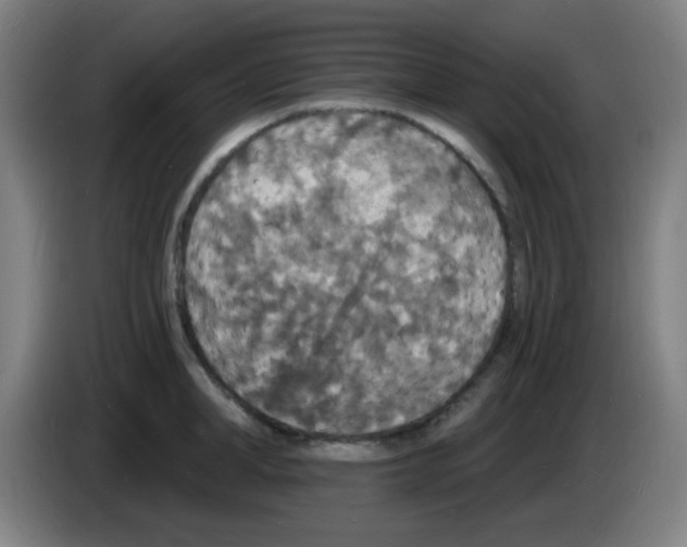 X0000085280998200703301912
