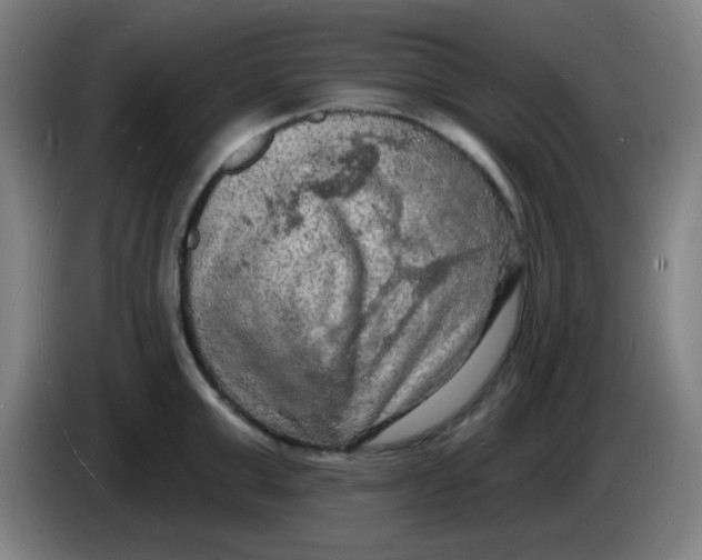 X0000085280999200703301912