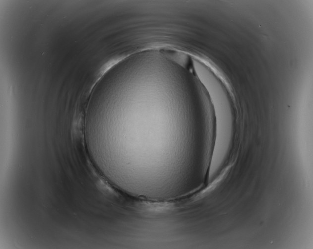 X0000085281001200703301912