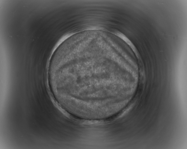 X0000085281002200703301912